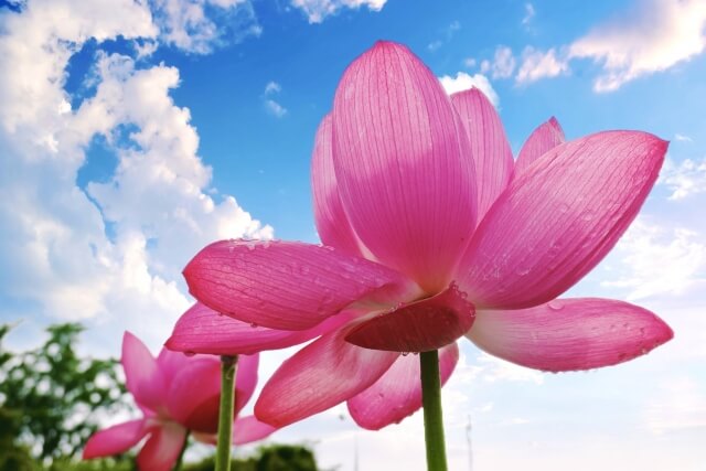 お盆休業のお知らせ